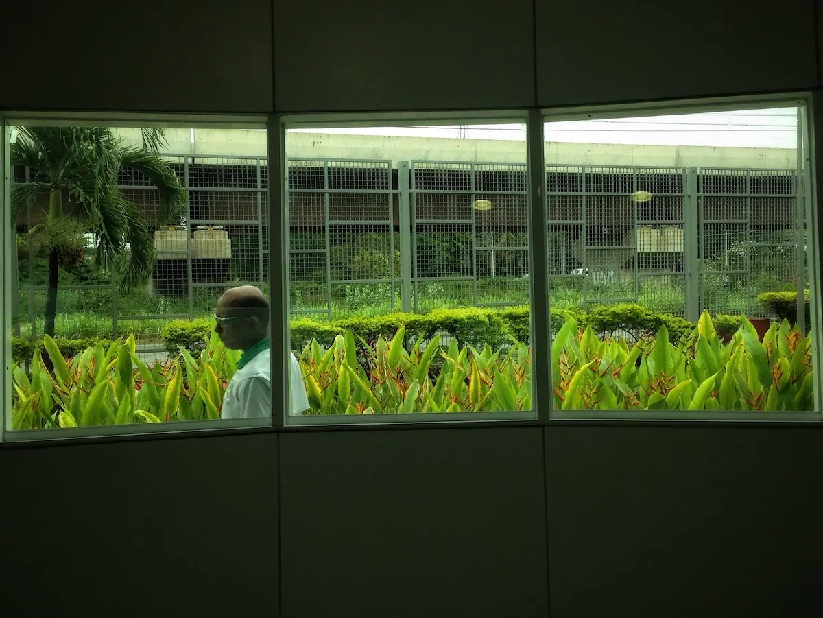 En este momento estás viendo Hombre presencia efímera