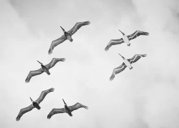 Espacio aéreo