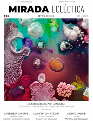 Edición N°6 – Mirada Ecléctica